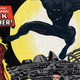 Illustration for article titled Everything You Need To Know About Black Panther Before Marvel's Civil War